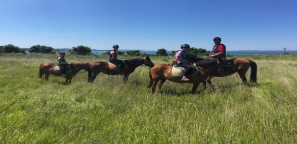 Horse-Riding-Zadar